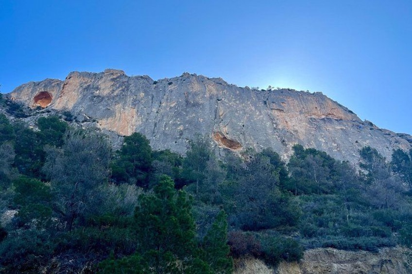 A mountain with a rocky surface and sparse vegetation. 4