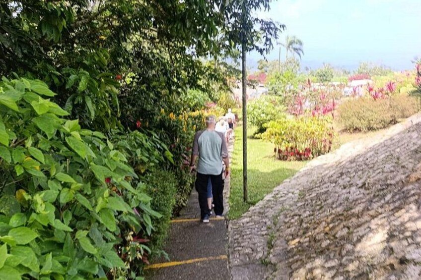 A person walking on a path surrounded by lush greenery and a stone wall. 5