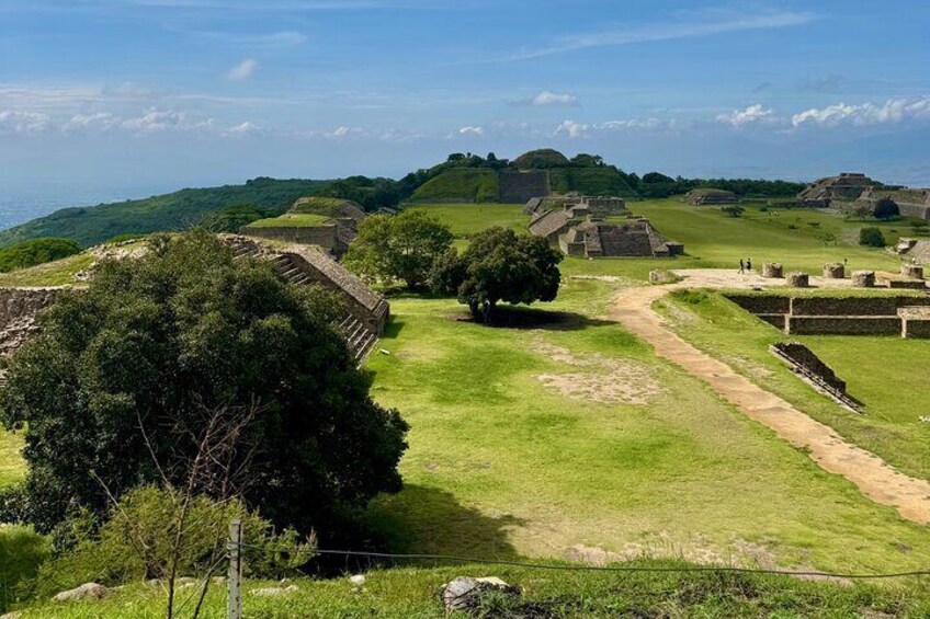 Ancient ruins with a large tree in the foreground, a dirt path, and distant hills. 5