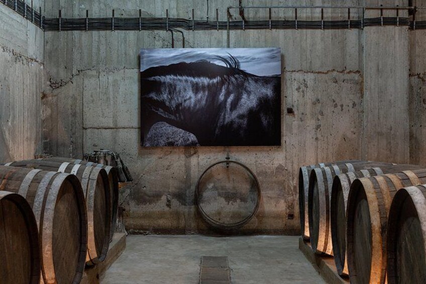 A wine cellar with wooden barrels and a large painting of a waterfall. 2