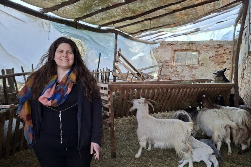 Sibiu > Fortified Churches, Farm Life and Carriage Ride Tour 2