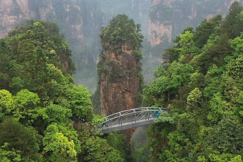 A suspension bridge in a forested gorge with steep cliffs. 5