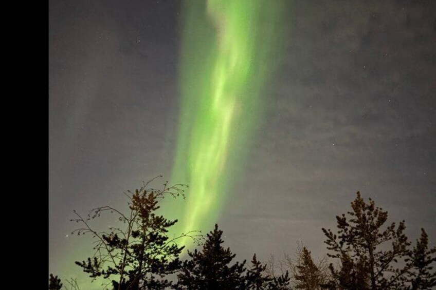 Northern Lights Hunting Bus Tour from Yellowknife 4