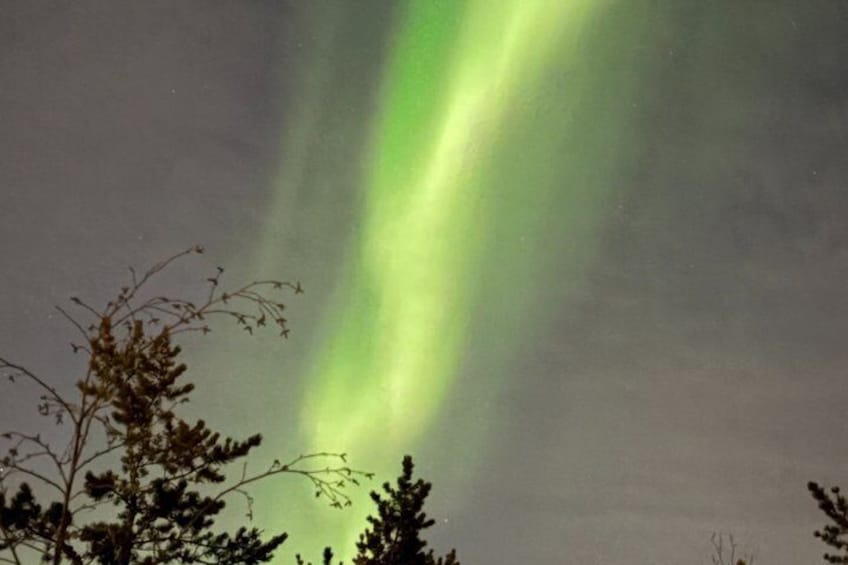 Northern Lights Hunting Bus Tour from Yellowknife 5