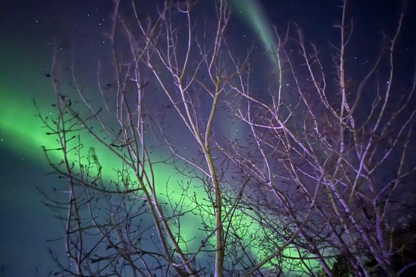 Aurora Hunting Tour in Yellowknife — Shared Bus 5