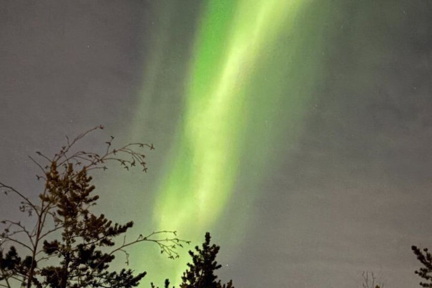 A night sky with a green aurora borealis. 5