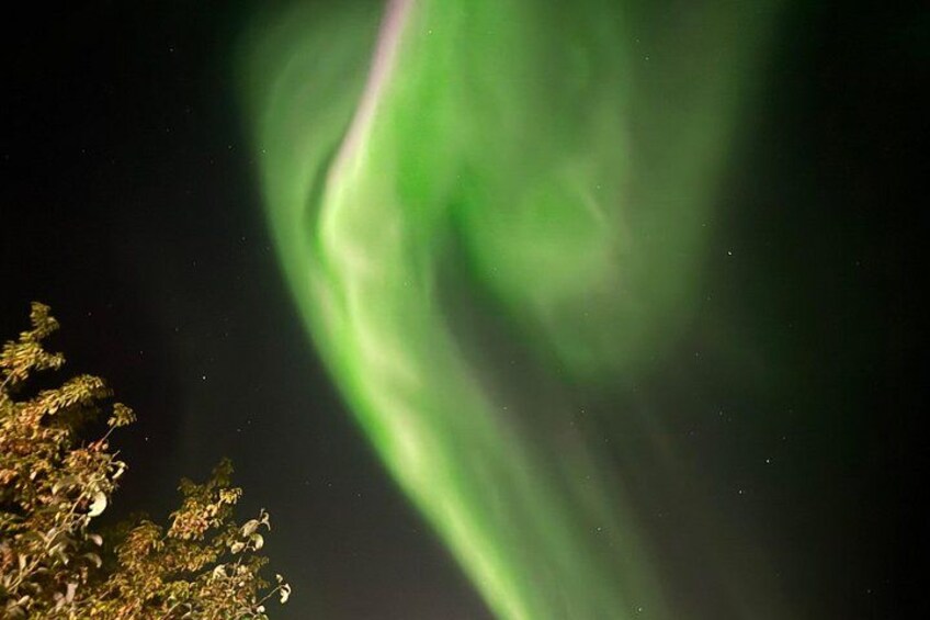 Aurora Hunting Tour in Yellowknife — Shared Bus 4