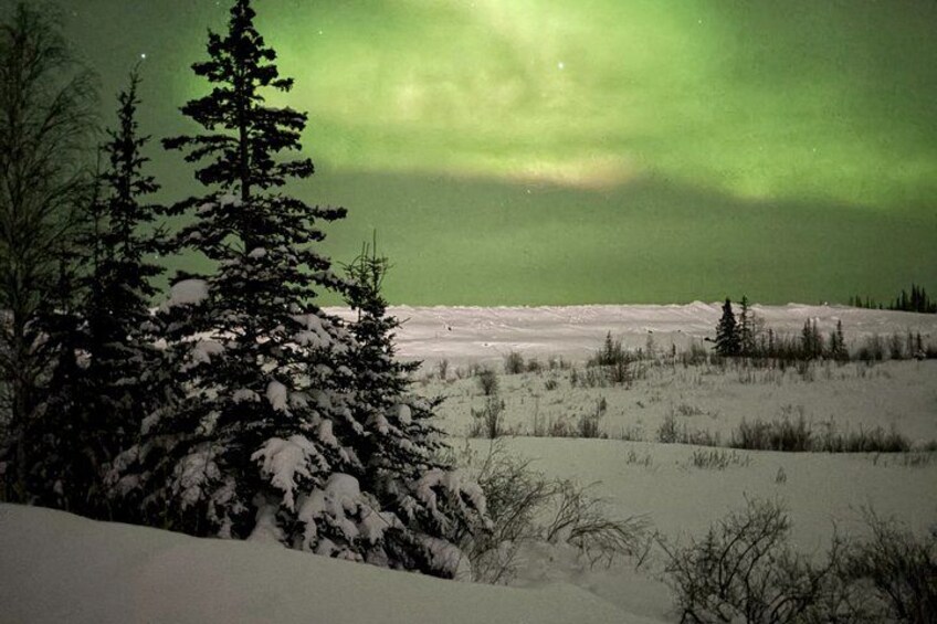 Aurora Hunting Tour in Yellowknife — Shared Bus 3