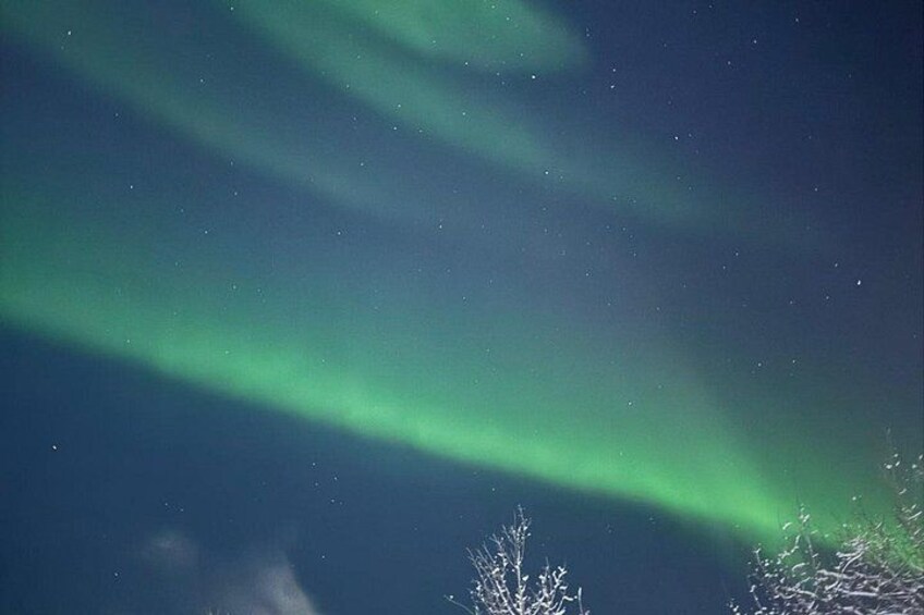 Aurora Hunting Tour in Yellowknife — Shared Bus 2