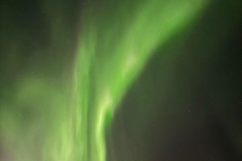 Aurora Hunting Tour in Yellowknife — Shared Bus 2