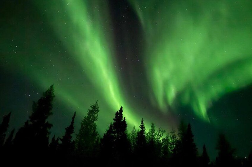 Aurora Hunting Tour in Yellowknife — Shared Bus 3