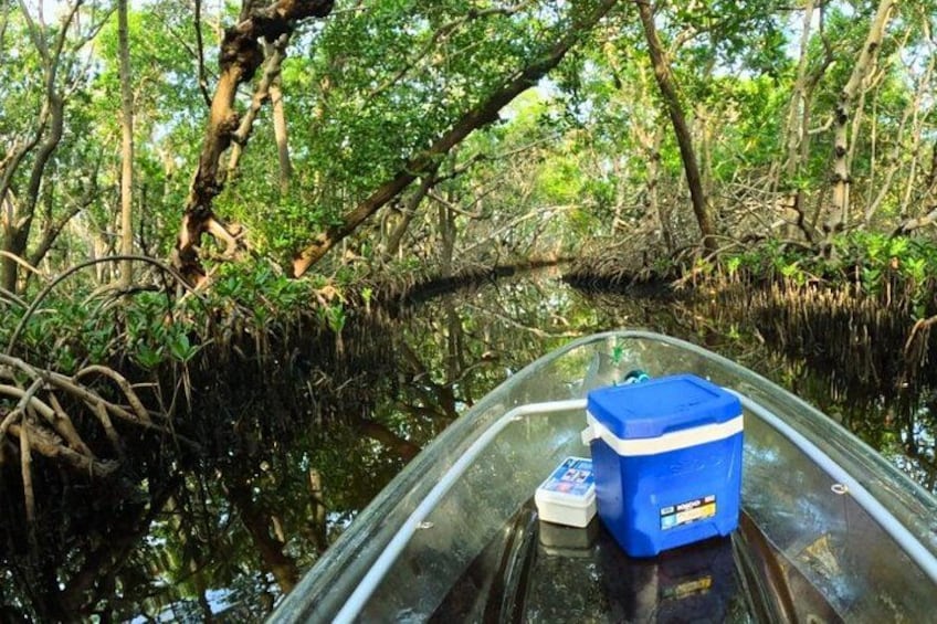 Una embarcación en una vía fluvial bordeada de manglares. 5