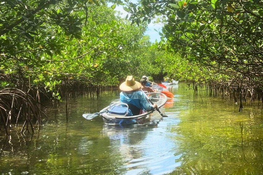 A narrow waterway flanked by dense mangrove trees with people paddling in small boats. 4