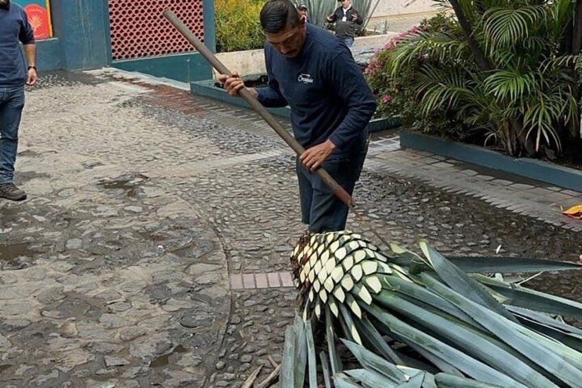 El timador 1