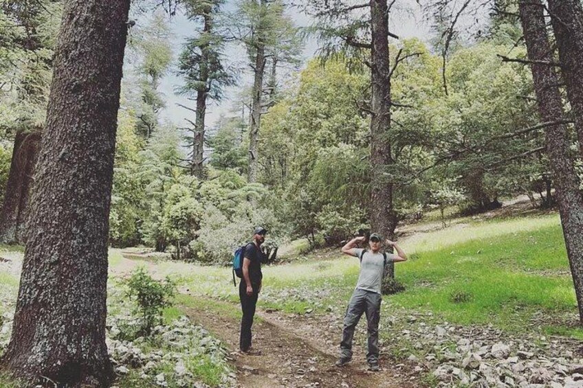 From Forests to Peaks — Breathe in the fresh Atlas air as your group explores Ifrane’s hidden trails and stunning viewpoints. 3