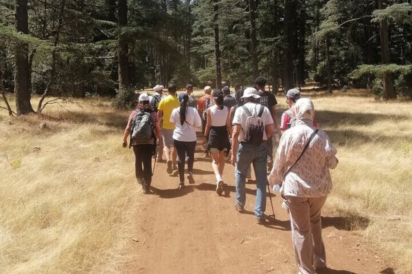 A group of people hiking on a dirt trail in a forested area. 1
