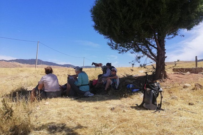 Hiking with Friends, Surrounded by Nature — Experience unity and freedom among the forests, cliffs, and wildlife of Ifrane National Park. 4