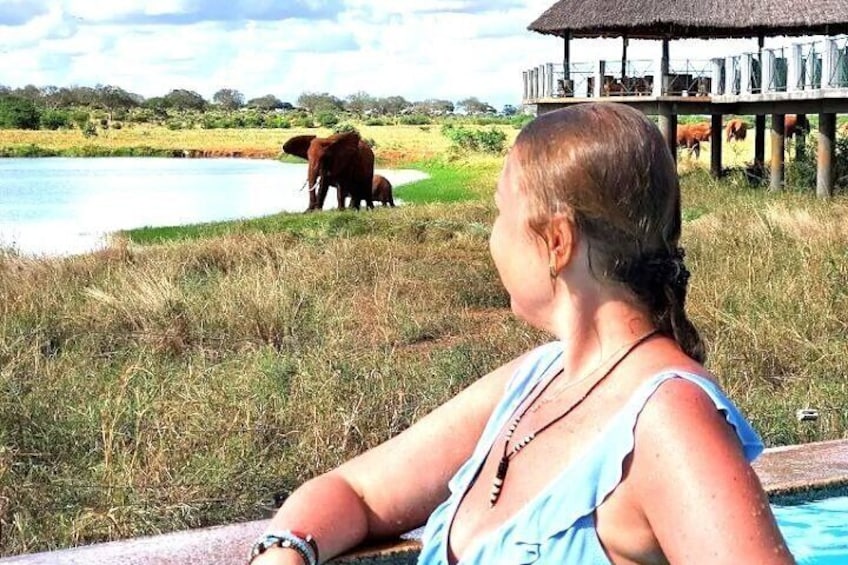 A woman by a pool with elephants in the background. 2