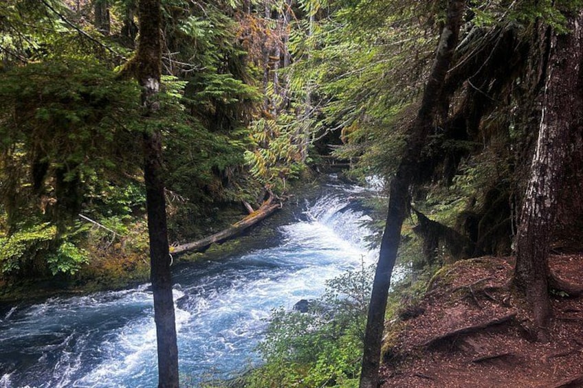 Eugene area Waterfalls & the McKenzie River in a Tesla 4