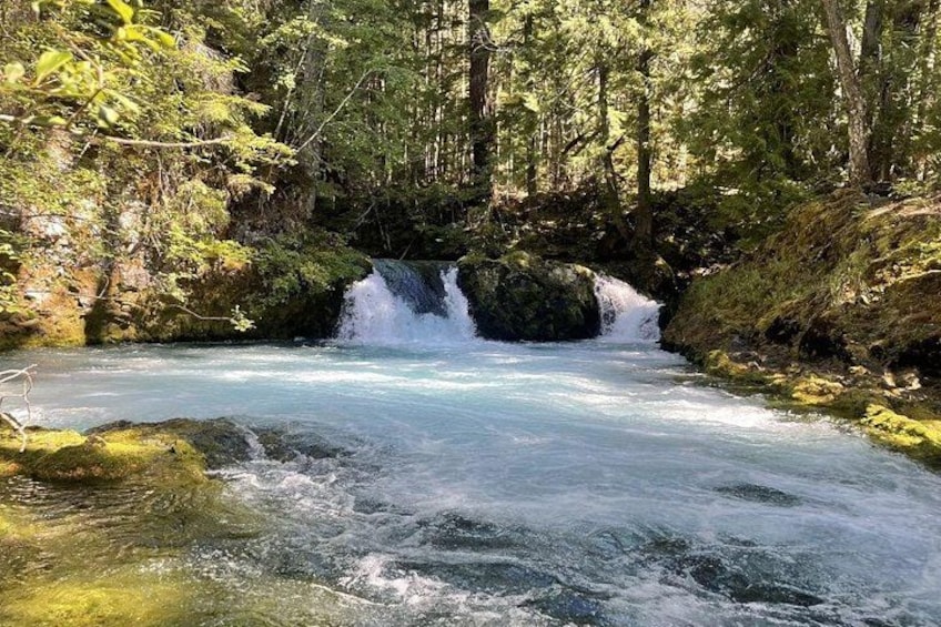 Eugene area Waterfalls & the McKenzie River in a Tesla 3