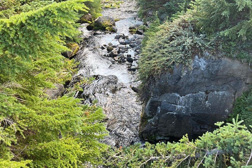 Eugene area Waterfalls & the McKenzie River in a Tesla 2