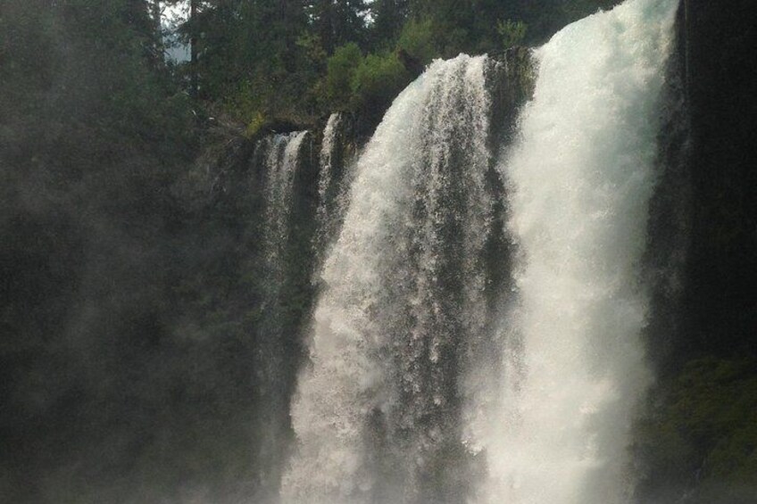 Eugene area Waterfalls & the McKenzie River in a Tesla 1