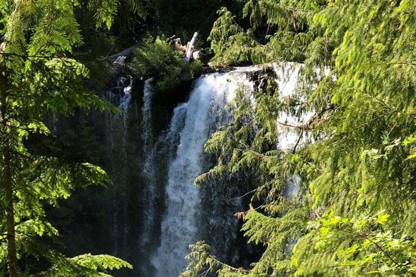 Eugene area Waterfalls & the McKenzie River in a Tesla 3