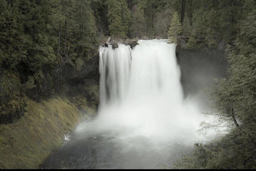 Eugene area Waterfalls & the McKenzie River in a Tesla 2