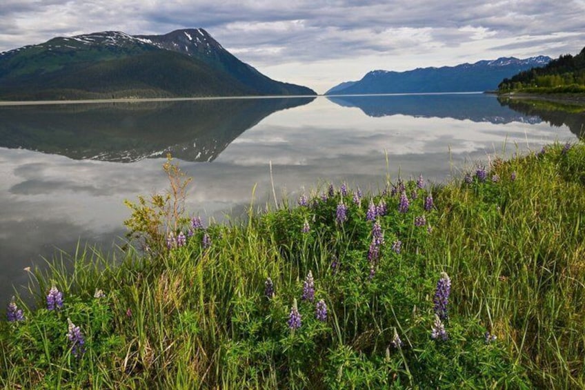Seward to Anchorage Scenic Transfer Photo Tour 4