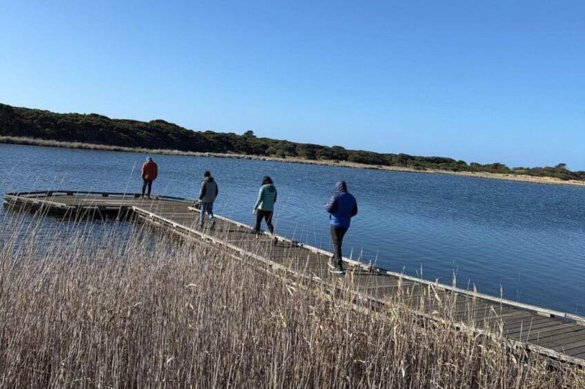 Un muelle de madera se extiende sobre aguas tranquilas, rodeado de altas hierbas. 3
