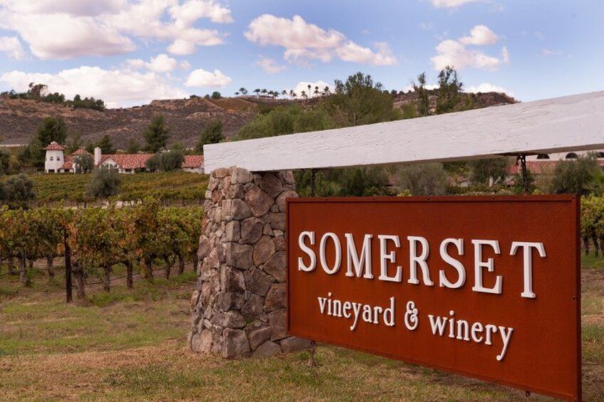 Shared Temecula Wine Tour from Newport Beach 2