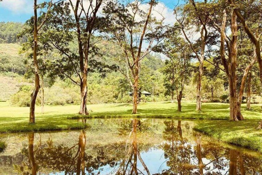 Dream path of Sri Lanka 7 Days 5