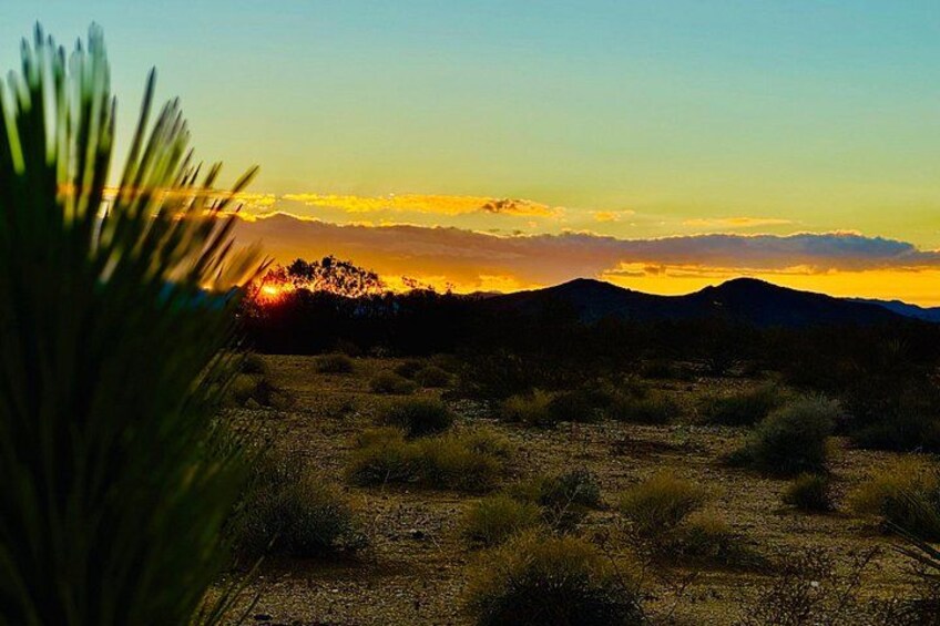 Paisaje desértico con vegetación escasa, una cadena montañosa al fondo y una puesta de sol. 2