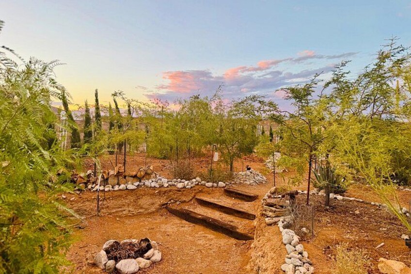 Un jardín con un camino de piedra, arbustos verdes y un cielo despejado. 5