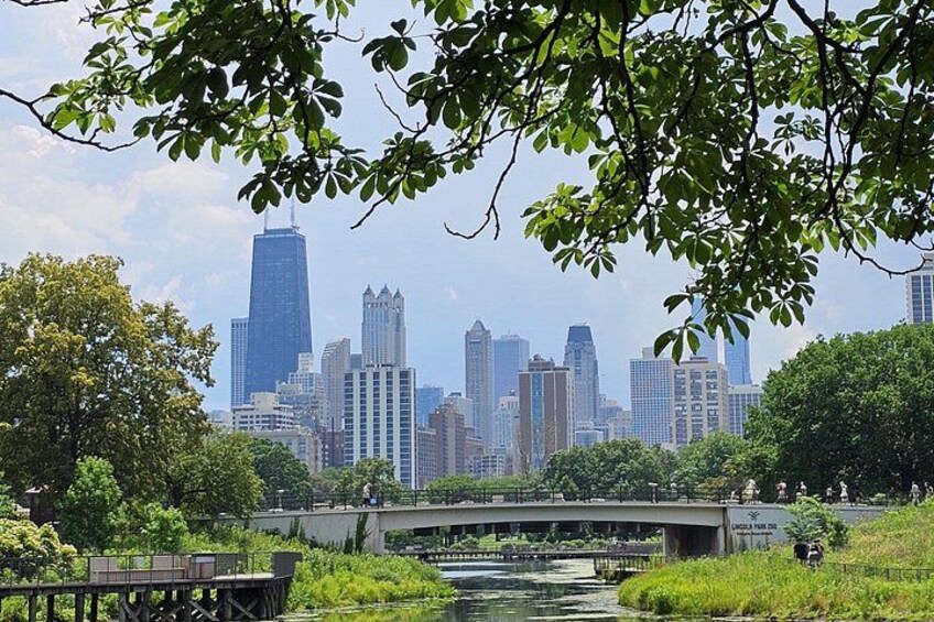 City view from Zoo 4