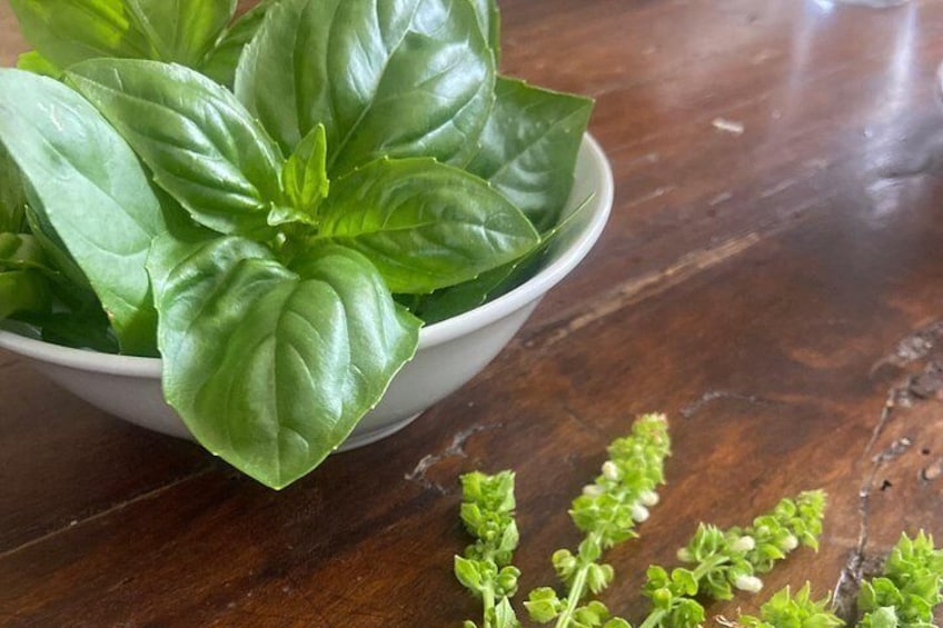Learn Ligurian focaccia and pesto 3