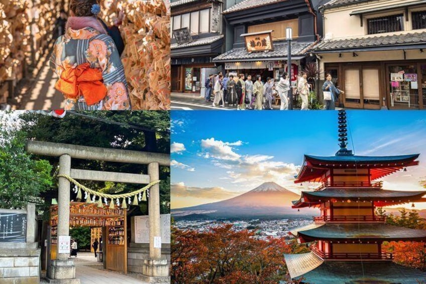 Mount Fuji Kawagoe and Hikawa Shrine Day Trip 1