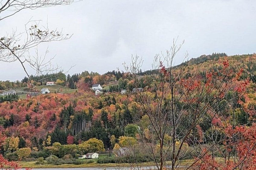 A rural landscape with autumn-colored trees, a hill with houses, and a clear sky. 4
