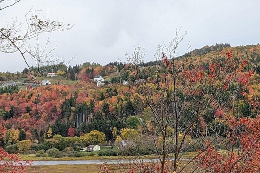 A rural landscape with autumn-colored trees, a river, and houses on a hillside. 2