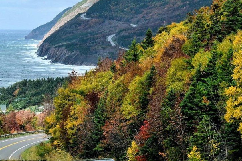 A coastal road winding through a forest with autumn foliage. 3