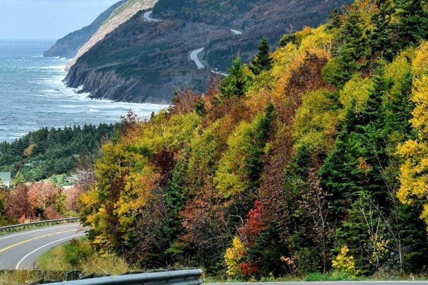 A coastal road with autumn foliage, a winding road, and the ocean in the background. 5