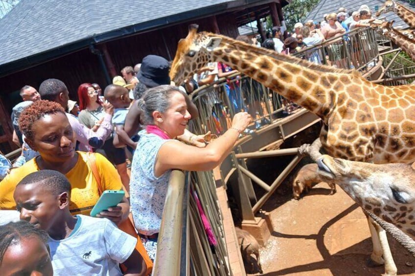 At the giraffe centre 4