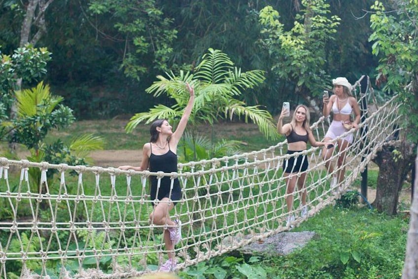 A rope bridge in a lush green environment. 4