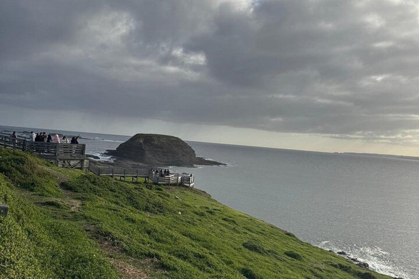 Phillip Island Penguins and Moonlit Sanctuary Private Day Tour 3