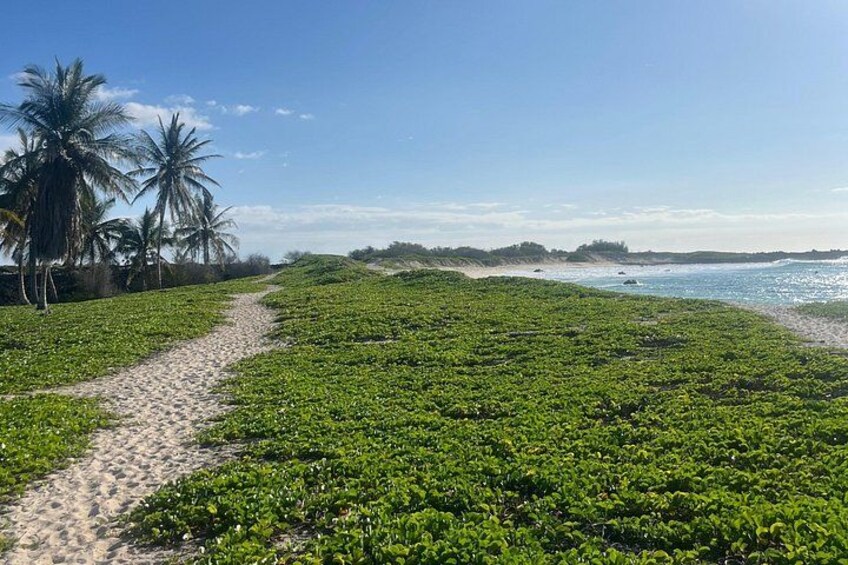 Makalawena Hike and Swim with Native Hawaiian 5