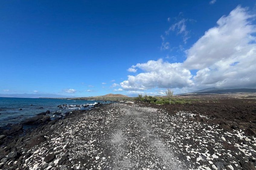 A coastal landscape with a rocky shoreline, a clear sky, and distant hills. 3