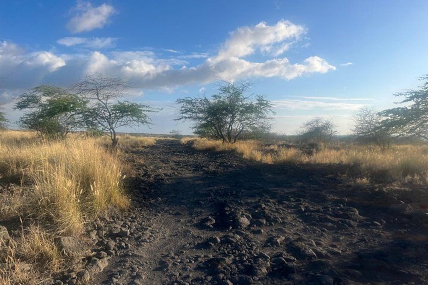Makalawena Hike and Swim with Native Hawaiian 2