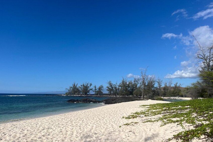 A beach with white sand, clear blue water, and sparse vegetation. 4