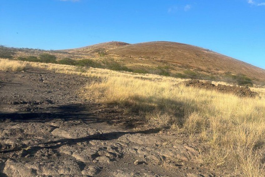 A dry, rocky terrain with sparse vegetation and a hill in the background. 2