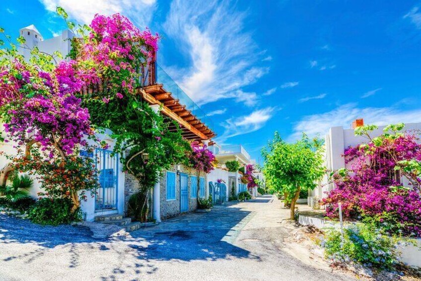 A narrow street lined with white buildings, pink bougainvillea, and a clear blue sky. 2